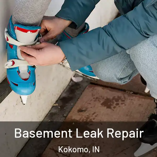 Basement Leak Repair Kokomo, IN