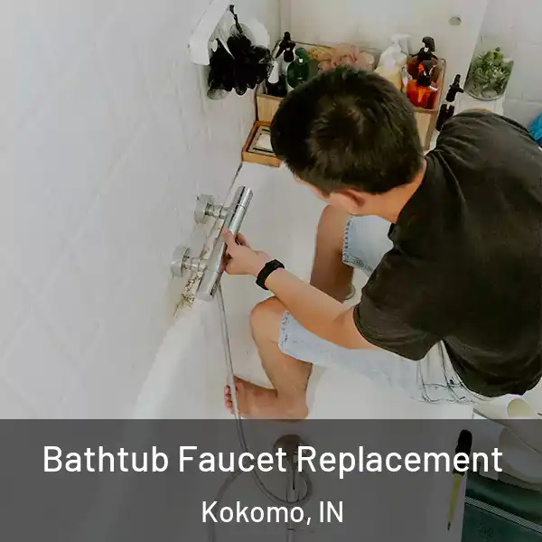  Bathtub Faucet Replacement Kokomo, IN