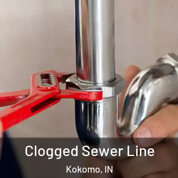  Clogged Sewer Line Kokomo, IN