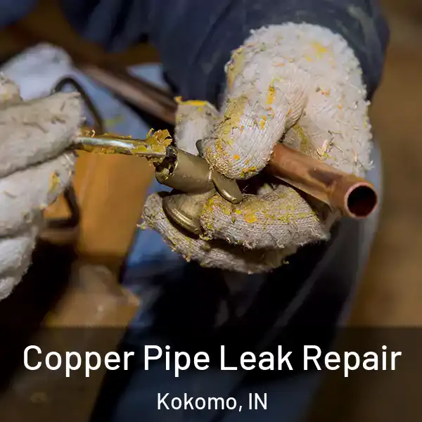  Copper Pipe Leak Repair Kokomo, IN