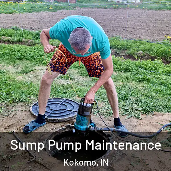  Sump Pump Maintenance Kokomo, IN