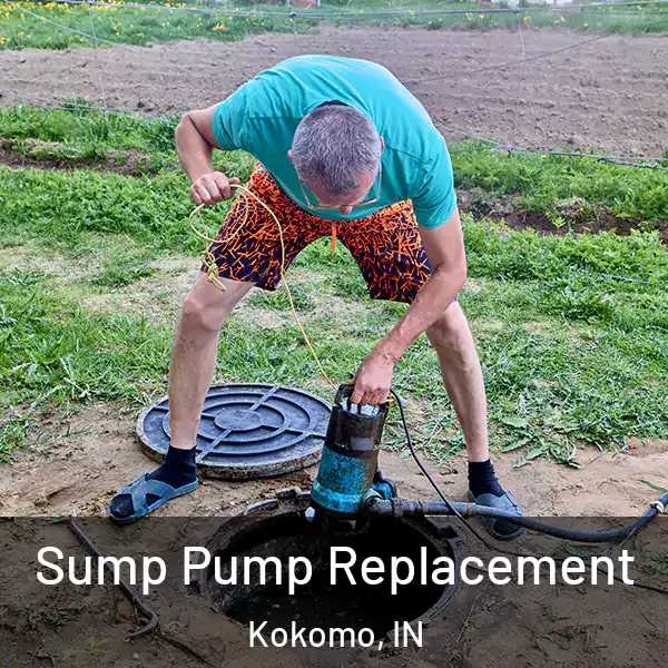 Sump Pump Replacement Kokomo, IN