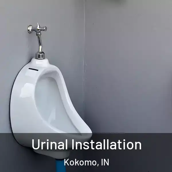  Urinal Installation Kokomo, IN