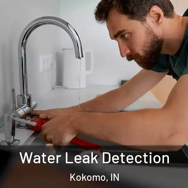  Water Leak Detection Kokomo, IN