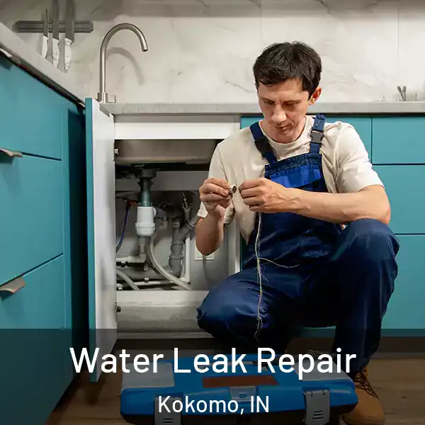  Water Leak Repair Kokomo, IN